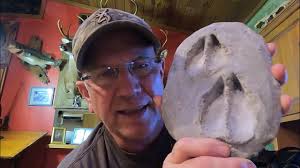 Deer Tracks, When is it a Big Buck?