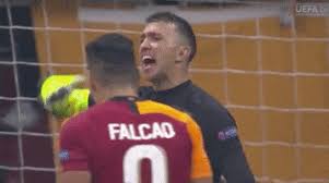 We did not find results for: Fernando Meslera Gifs Get The Best Gif On Giphy