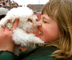 A Look Back at Ocean City's Woofin' Paws pet fashion show