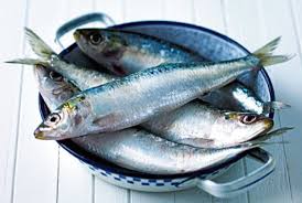 We did not find results for: Resep Sarden Jepang