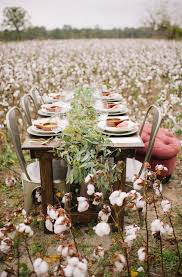 Cotton Field Winter Wedding Ideas Ruffled Cotton Fields Field Wedding Winter Wedding