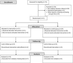 Participant Flow Participant Flow Chart And Drop Out Based