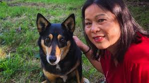 How to tell if your dog is getting the right amount of exercise and  attention