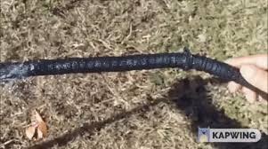 We did not find results for: How To Repair Pocket Hose Wired But Easy Fix