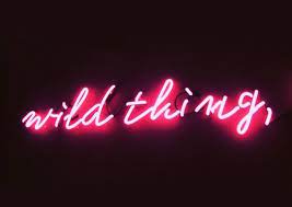 Pin By Louisa Grey On Neon Neon Quotes Neon Words Neon Signs