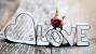 Flower Nature Wallpaper