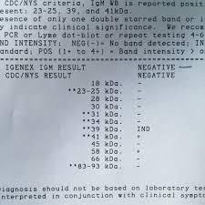 The Western Blot And My You Don T Have Lyme Diagnosis Karlafightslyme