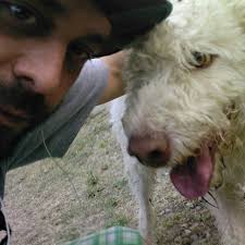 What do you think about Bravo EDC with Ramp or Rampless for cutting things?