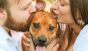 Morgan Trotter and Dylan Bailey's Wedding Website