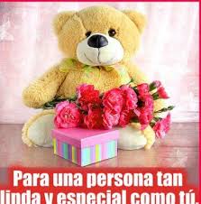 Ositos De Peluche Con Frases My Teddy Bear Teddy Bear Bear