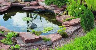 All the decaying organic material adds to your nutrient load, which in time can create algae blooms. Tips For Choosing The Right Pond Liner Prefab Epdm Puddling Clay