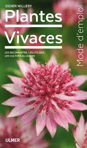 Petite plante au charme fou, le lewisia cotyledon attire par sa profusion de fleurs très fines et colorées. Plantes Vivaces Les Reconnaitre Les Utiliser Les Cultiver Au J Par Didier Willery Leslibraires Ca