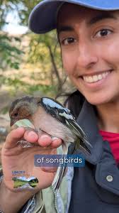 Nicole Ibrahim, a Ph.D. student at the UMCES Appalachian Laboratory, spent  months at the Shakpak Ornithological Station researching the migratory  patterns of birds throughout Central Asia., Through ...