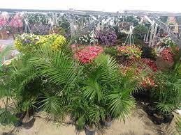Maybe you would like to learn more about one of these? Ed S Garden Center 1720 New York Ave Ne Washington Dc 20002 Usa