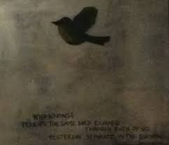 Birds Of The Same Feather Are The Same Birds Rainer Maria Rilke Literary Quotes Love Words Words