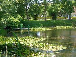 The wehl family name was found in the usa, the uk, and canada between 1880 and 1920. Hinter Dem Deich Am Wehl In Padingbuttel Bild Von Dorum Niedersachsen Tripadvisor