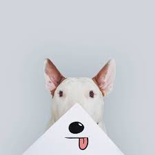 Maybe you would like to learn more about one of these? Dog Owner Creates Fun Illustrations With His Bull Terrier Bored Panda