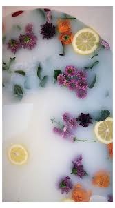 Cape town with a baby tip: Milk Bath Flowers Floral Baby Photo Shoot Milkbath Milk Bath Flowers Floral Bab Baby Bath Aesthetic Flower Aesthetic Flower Bath Milk Bath