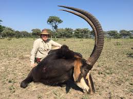 We offer over 40 species to hunt and have also listed some of the smaller unique animals you may see on your safari, see other species. South Africa Hunting Hunting Prices South Africa Graham Sales Safaris