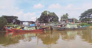 Karantina ikan untuk pengobatan ikan. Masters Of A Dying Craft
