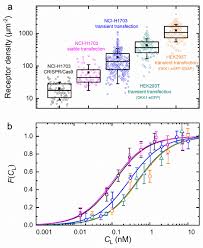 Animal cells are attached to neighboring cells by all of the following except. Measuring Ligand Cell Surface Receptor Affinities With Axial Line Scanning Fluorescence Correlation Spectroscopy Elife