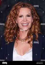 Red robyn hi-res stock photography and images