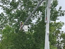 Generous weight limits for each bin. Tree Care Companies Are Hiring With Union Benefits
