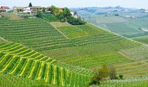 Surrounded by some of the highest mountains in europe, such as the gran paradiso and monte rosa, it is occupied to the east by the pianura padana, crossed by the largest river in italy, the po, and its many tributaries. Piemonte Archive Berliner Weinpilot