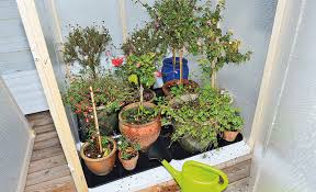 Die schönsten balkonpflanzen frösteln schon bei temperaturen unter 10 grad celsius. Balkonblumen Pflege Selbst De