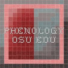 Phenology Osu Edu Osu Networking Chemist