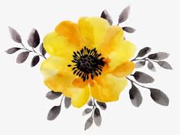 All files are png with transparent background 300 dpi, rgb. Watercolor Yellow Flowers Png Free Transparent Clipart Clipartkey