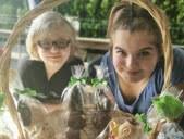 Archives Le Républicain Lorrain