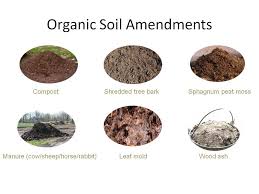 We did not find results for: Time For Some Soil Amendments Gardening Austin