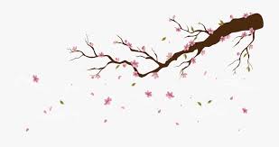 Discover 56 free japanese cherry blossom png images with transparent backgrounds. Transparent Sakura Flower Clipart Falling Cherry Blossom Transparent Background Free Transparent Clipart Clipartkey