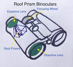 a complete guide to buying the best binoculars for birding