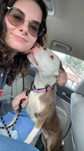 Tips and warnings for chimney flue liner installation?