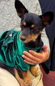 Kern River Valley News & Community Info