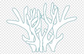 Maybe you would like to learn more about one of these? Coral Reef Great Barrier Reef Coloring Book Coral Reef Fish Sea Drawing Child Ecosystem Great Barrier Reef Coloring Book Coral Reef Png Pngwing