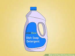 Dawn Dish Soap For Fleas In Carpet