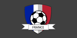 A virtual museum of sports logos, uniforms and historical items. Real Fantasy Teams French Football League