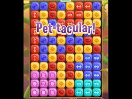 Embark on this endearing adventure with fern the fox. Saga Level Help Pet Rescue Puzzle