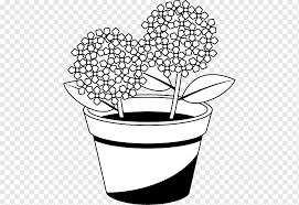 Gambar hitam putih pot bunga. Pot Bunga Hydrangea Hitam Dan Putih Perancis Bunga Monokrom Pena Bunga Png Pngwing