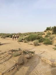 To have the best experience, most tourists head towards sam sand dunes, which is very popular for camel safari. The Ghost Village Picture Of The Real Deal Rajasthan Camel Safari Jaisalmer Tripadvisor