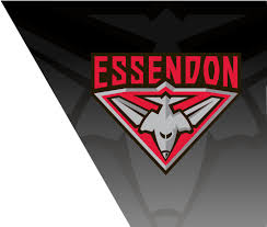 Penleigh essendon grammar logo , transparent cartoon. Download Gold Coast Suns Logo Essendon Bombers Logo Essendon Fc Png Image With No Background Pngkey Com