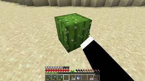 1) deep wide roots so they can absorb water. Cactus Can Be Used As Garbage Disposal Minecraft Youtube