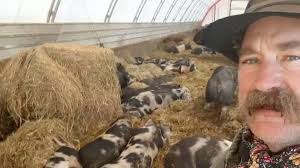 @trentloos's video Tweet