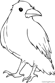 11 Free Printable Raven Coloring Pages In Vector Format Easy To Print From Any Device And Automatically Fit Any In 2020 Bird Coloring Pages Coloring Pages Raven Color