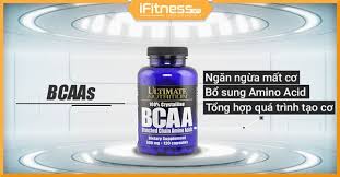Top 10 thực phẩm bổ sung tăng cơ bắp tốt nhất cho người tập gym