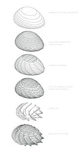 Building Slices Ii Architecture Moderne Plan Architecte Et Bambou
