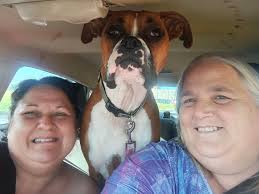 Didn't know the Three Amigos were still about